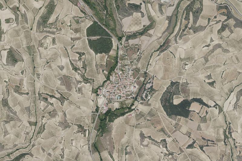 Ortofoto actual del núcleo de Leza