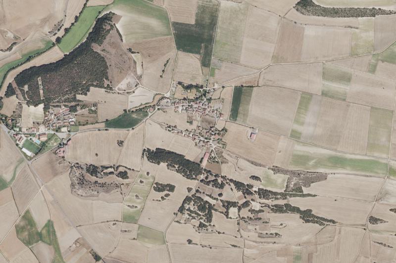 Ortofoto actual del núcleo de Lantarón