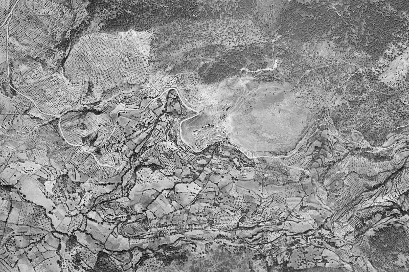 Ortofoto de 1956-1957 del núcleo de Cotillas