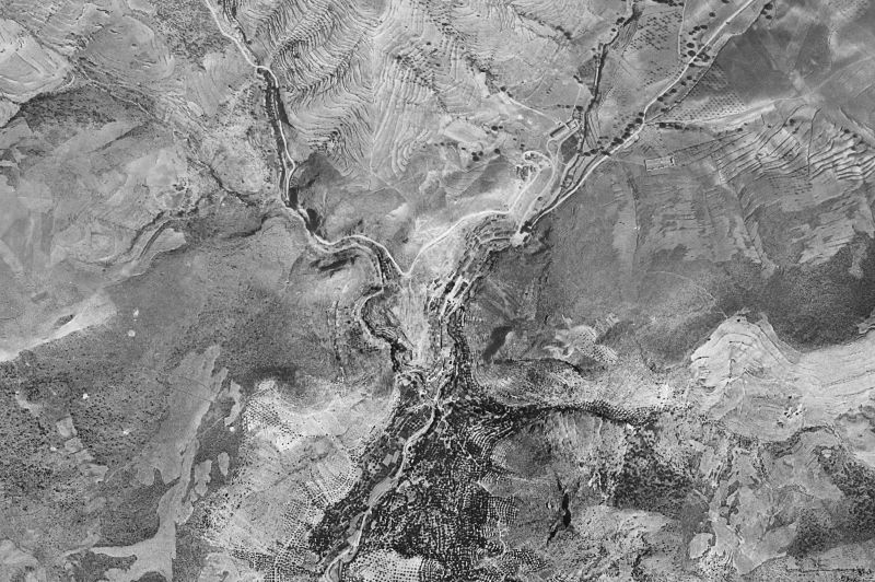 Ortofoto de 1956-1957 del núcleo de Molinicos