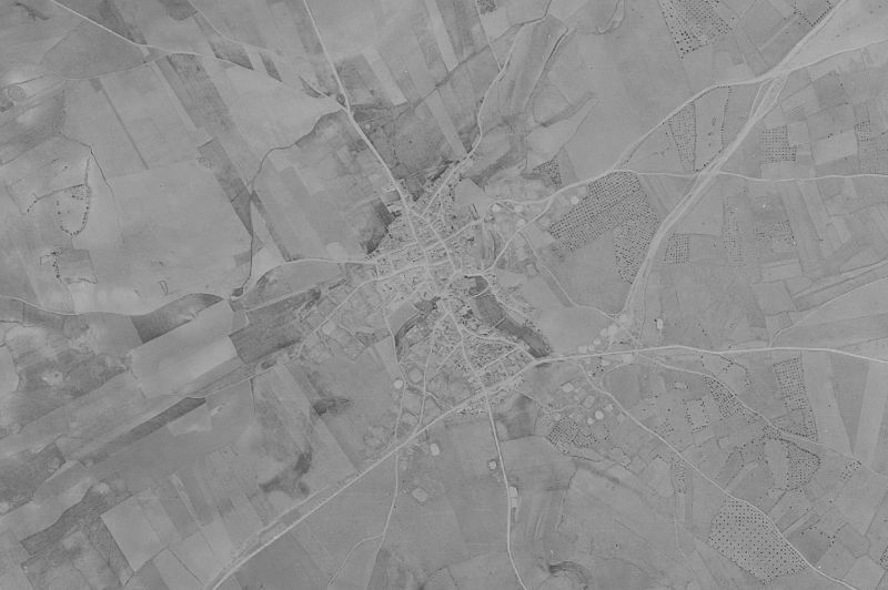 Ortofoto de 1956-1957 del núcleo de Viveros