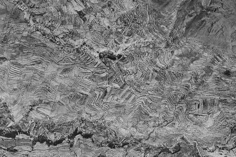 Ortofoto de 1956-1957 del núcleo de Benasau