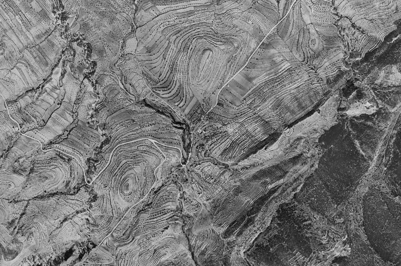 Ortofoto de 1956-1957 del núcleo de Benifallim