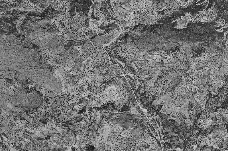 Ortofoto de 1956-1957 del núcleo de Bolulla