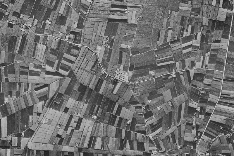 Ortofoto de 1956-1957 del núcleo de Daya Vieja