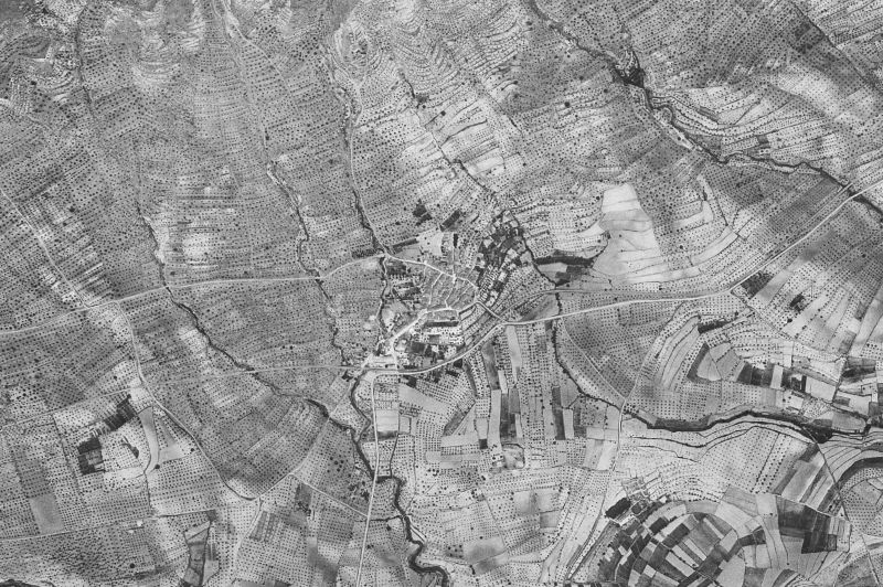 Ortofoto de 1956-1957 del núcleo de Gaianes