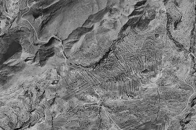 Ortofoto de 1956-1957 del núcleo de Millena