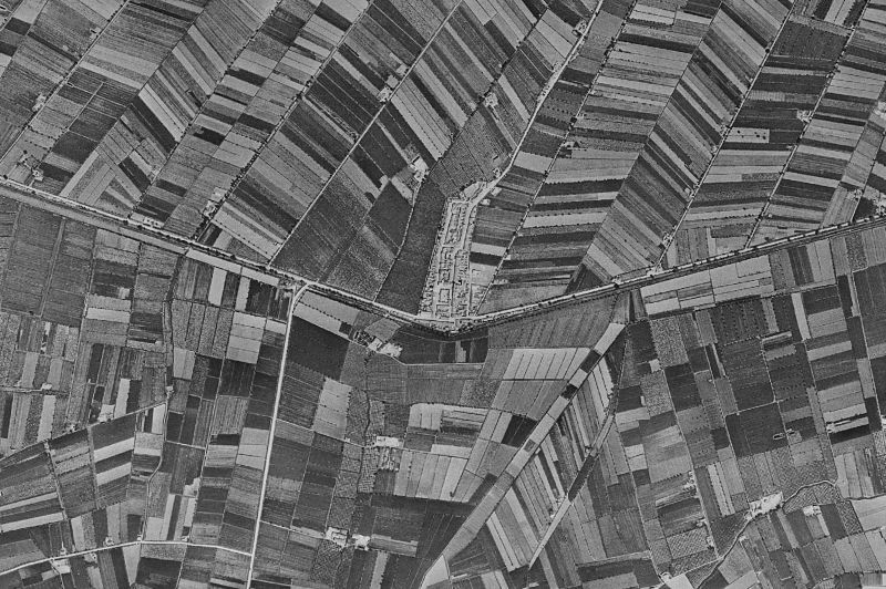 Ortofoto de 1956-1957 del núcleo de San Fulgencio