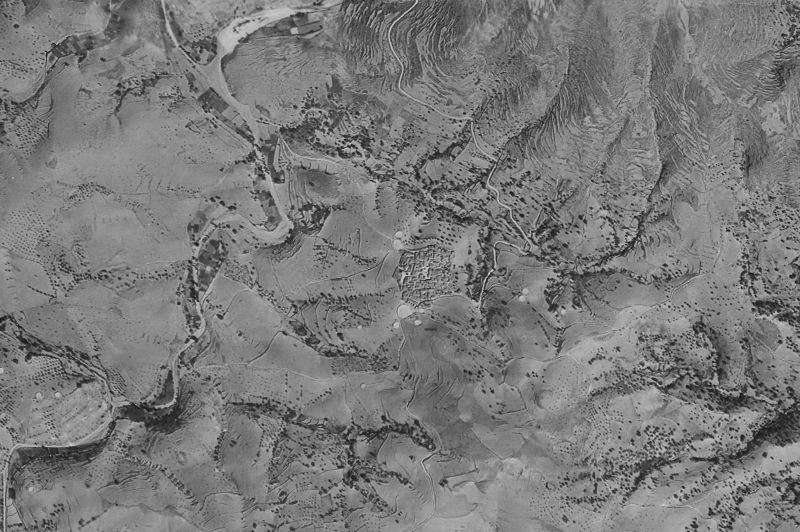 Ortofoto de 1956-1957 del núcleo de Alcudia de Monteagud
