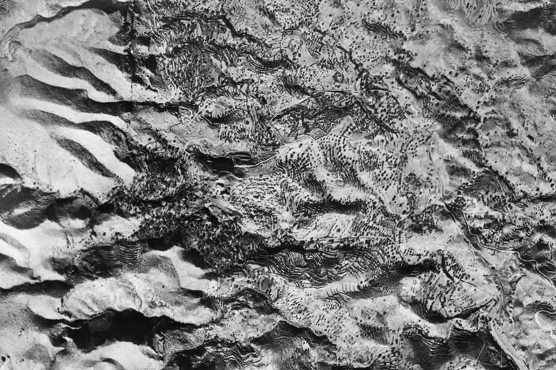 Ortofoto de 1956-1957 del núcleo de Bédar