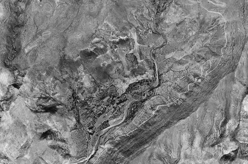 Ortofoto de 1956-1957 del núcleo de Vícar