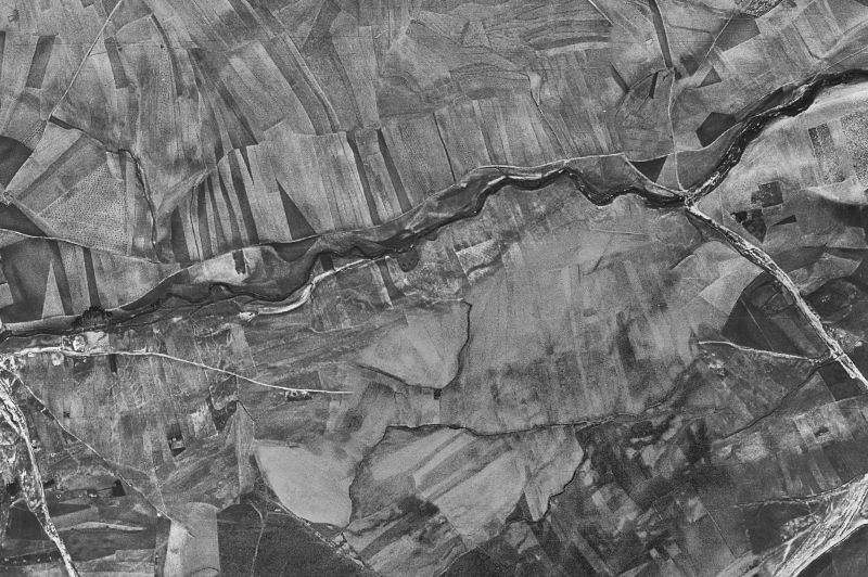 Ortofoto de 1956-1957 del núcleo de Narros de Saldueña