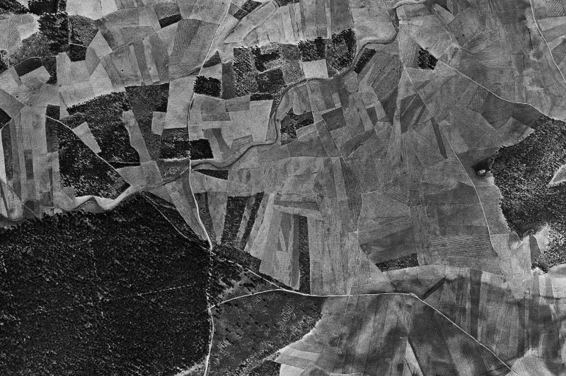 Ortofoto de 1956-1957 del núcleo de Nava de Arévalo