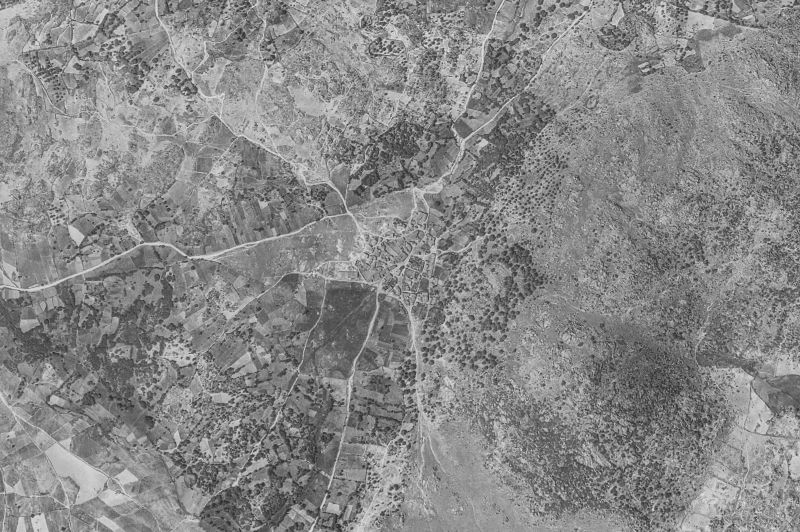 Ortofoto de 1956-1957 del núcleo de Neila de San Miguel