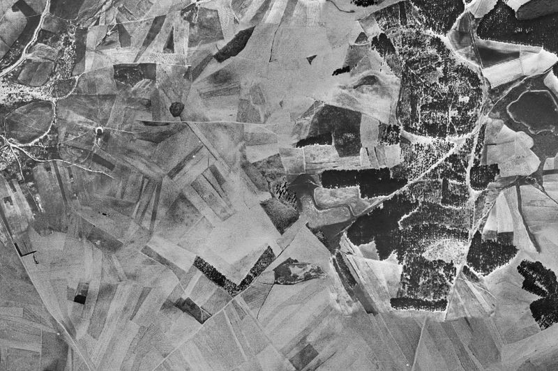 Ortofoto de 1956-1957 del núcleo de Papatrigo