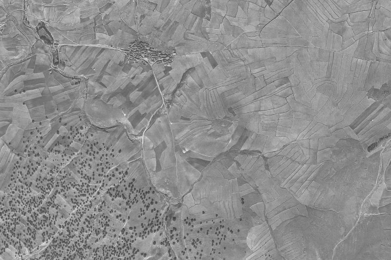 Ortofoto de 1956-1957 del núcleo de El Parral