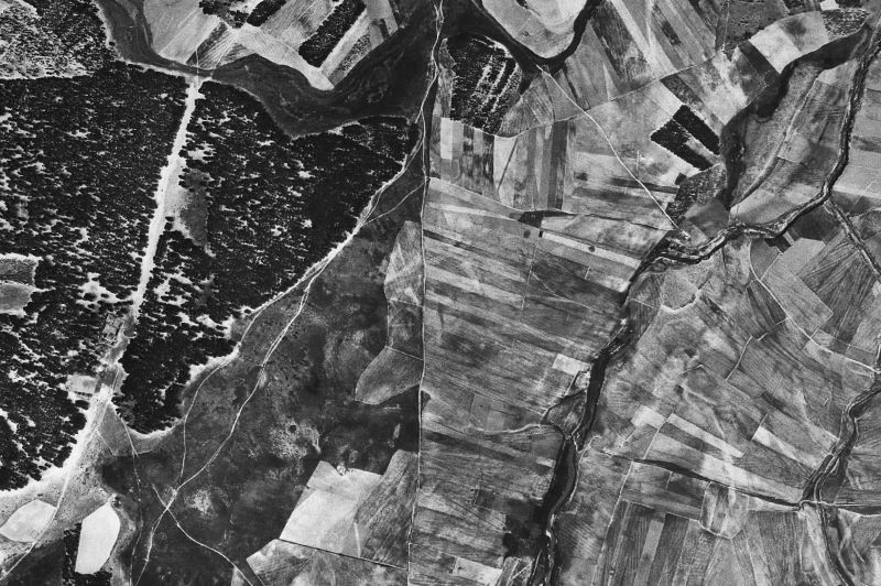 Ortofoto de 1956-1957 del núcleo de Pedro-Rodríguez