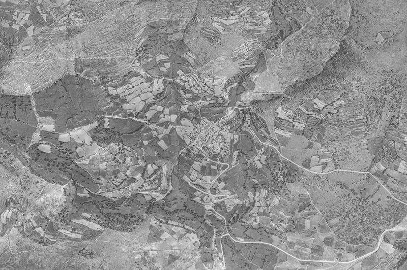 Ortofoto de 1956-1957 del núcleo de Zapardiel de la Ribera