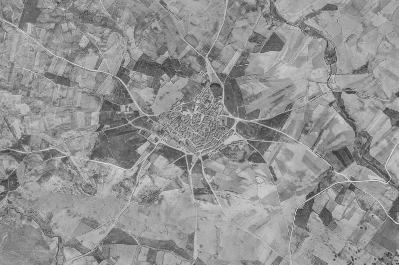 Ortofoto de 1956-1957 del núcleo de Diego del Carpio