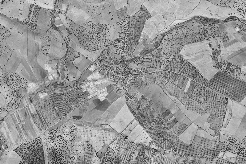 Ortofoto de 1956-1957 del núcleo de Carmonita