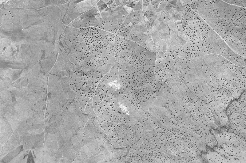 Ortofoto de 1956-1957 del núcleo de Castilblanco