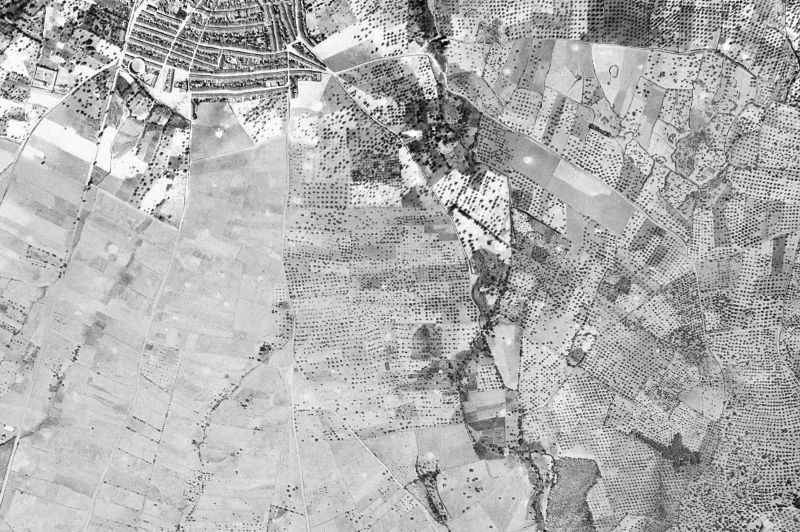 Ortofoto de 1956-1957 del núcleo de Higuera la Real