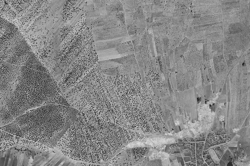Ortofoto de 1956-1957 del núcleo de La Nava de Santiago