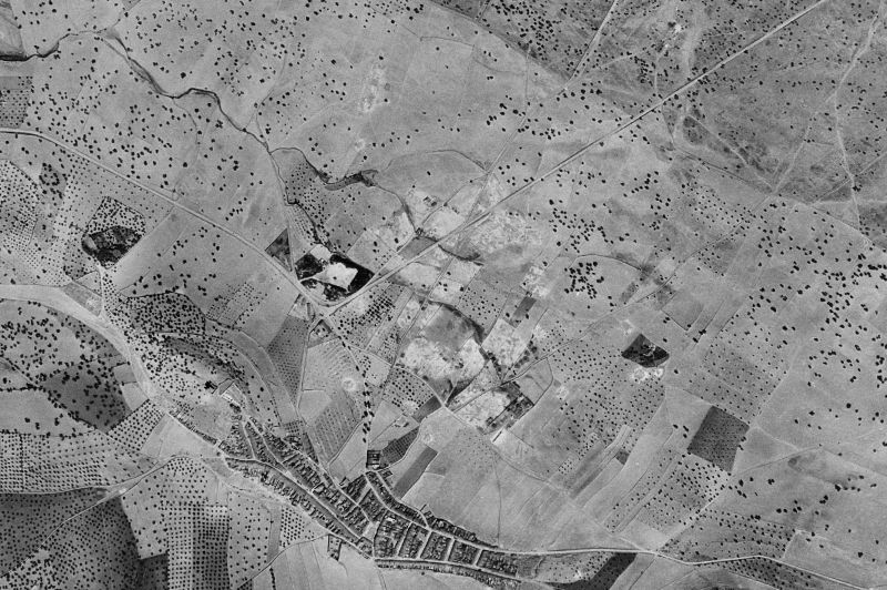 Ortofoto de 1956-1957 del núcleo de Nogales