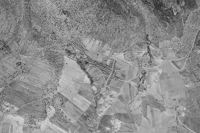 Ortofoto de 1956-1957 del núcleo de Orellana de la Sierra