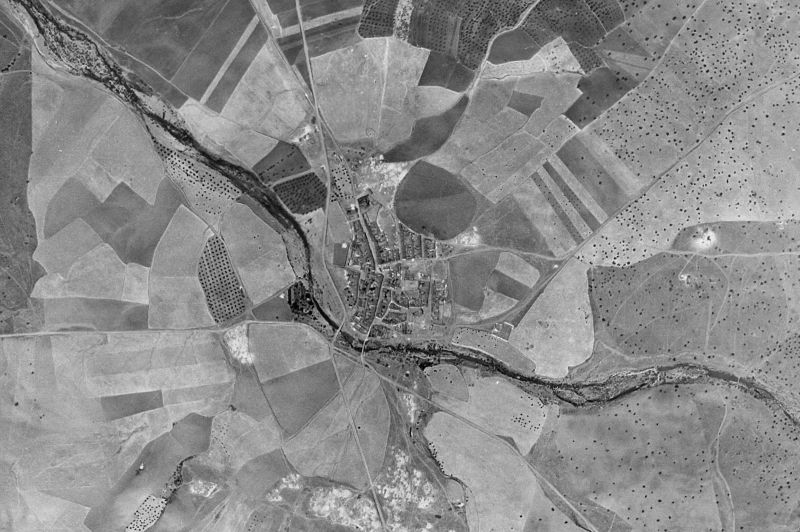 Ortofoto de 1956-1957 del núcleo de Palomas