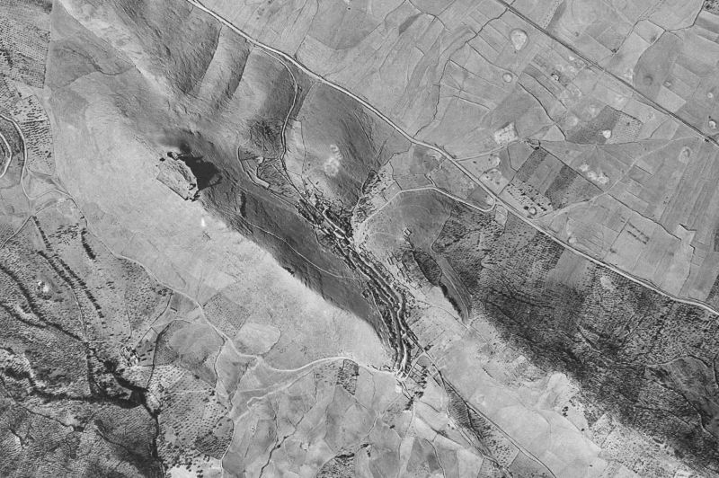 Ortofoto de 1956-1957 del núcleo de Reina