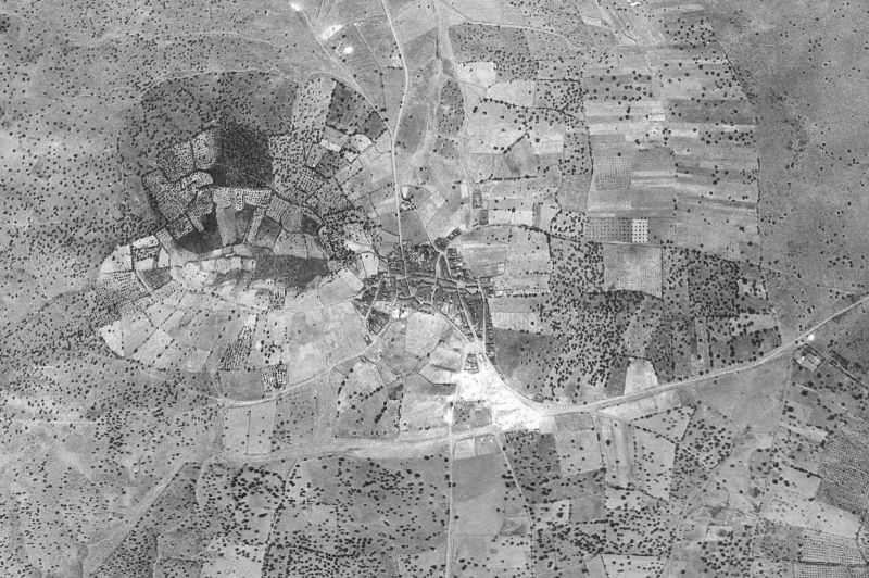 Ortofoto de 1956-1957 del núcleo de Tamurejo