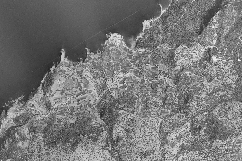 Ortofoto de 1956-1957 del núcleo de Banyalbufar