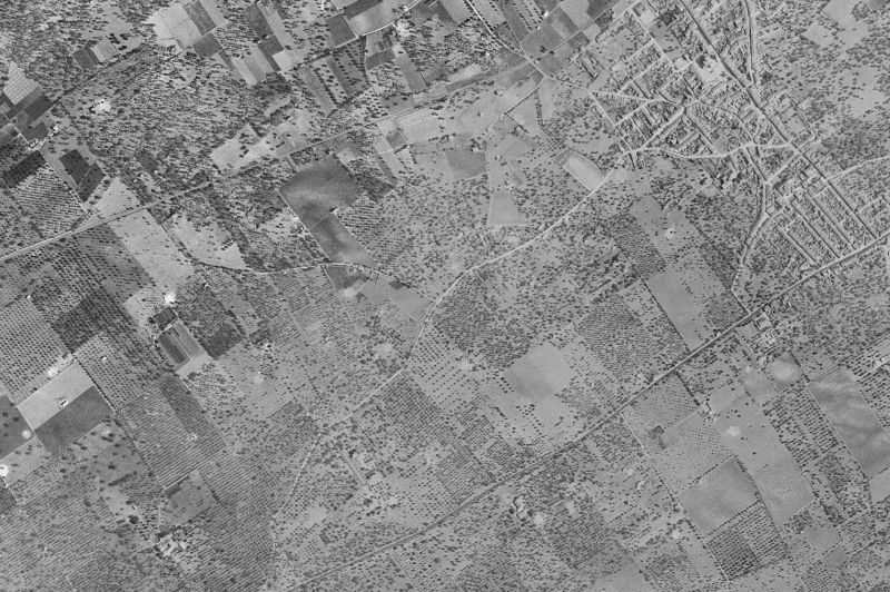 Ortofoto de 1956-1957 del núcleo de Binissalem