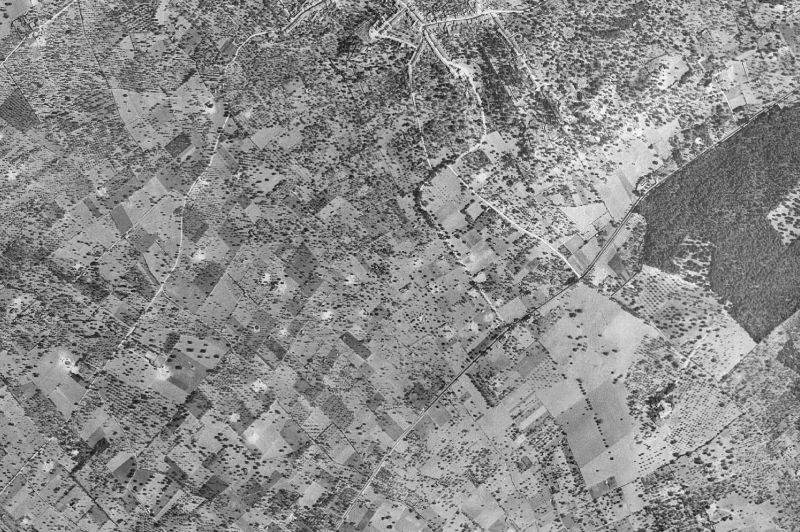 Ortofoto de 1956-1957 del núcleo de Campanet