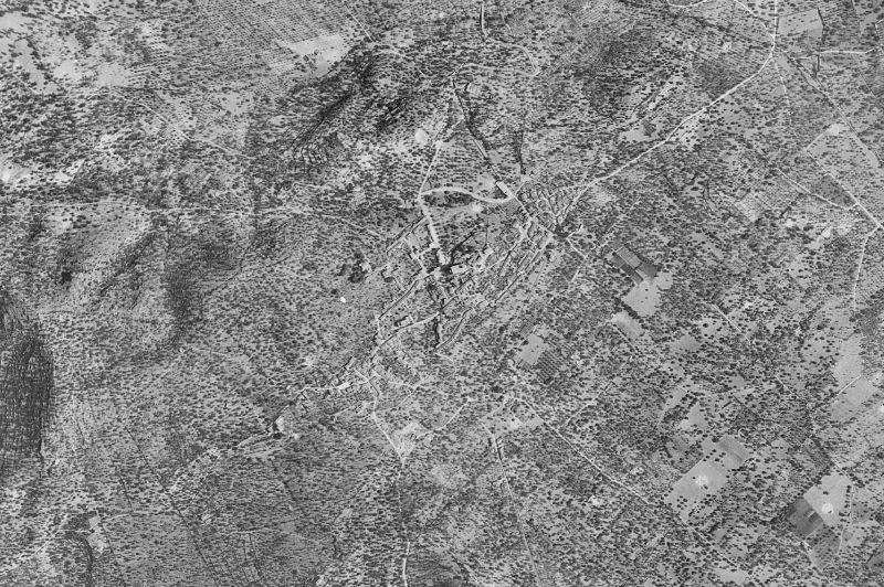 Ortofoto de 1956-1957 del núcleo de Selva