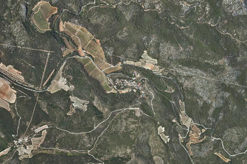 Ortofoto actual del núcleo de Olivella