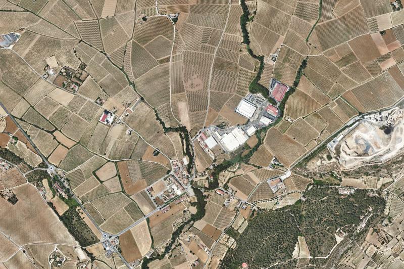 Ortofoto actual del núcleo de Pacs del Penedès