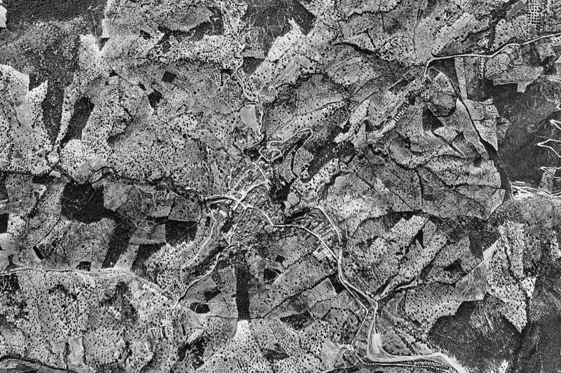 Ortofoto de 1956-1957 del núcleo de Sant Climent de Llobregat