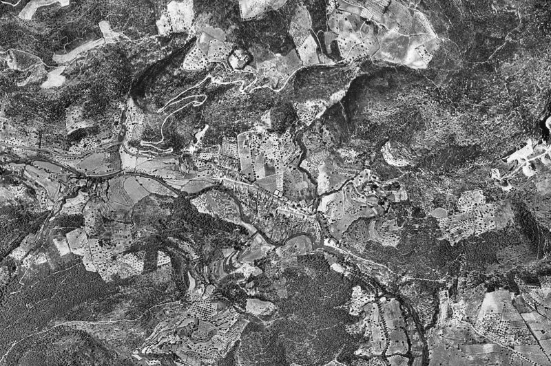 Ortofoto de 1956-1957 del núcleo de La Palma de Cervelló