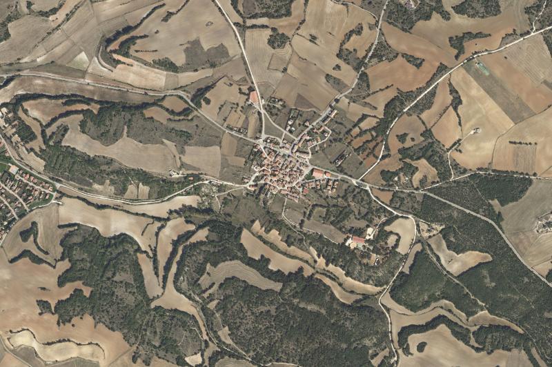 Ortofoto actual del núcleo de Carcedo de Burgos