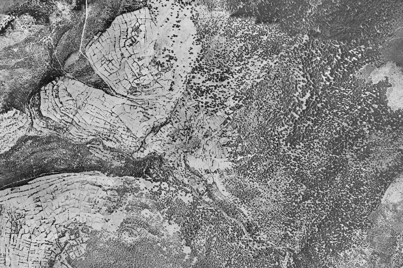 Ortofoto de 1956-1957 del núcleo de Monasterio de la Sierra