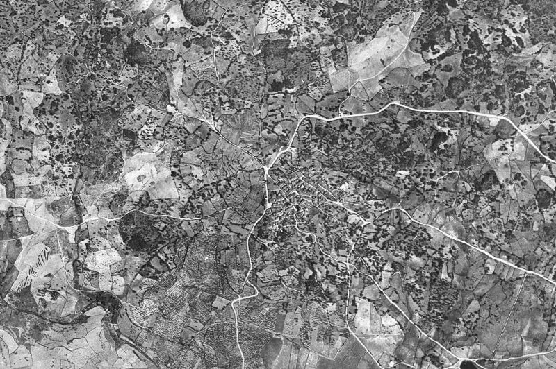 Ortofoto de 1956-1957 del núcleo de Aceituna