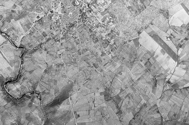 Ortofoto de 1956-1957 del núcleo de Ahigal