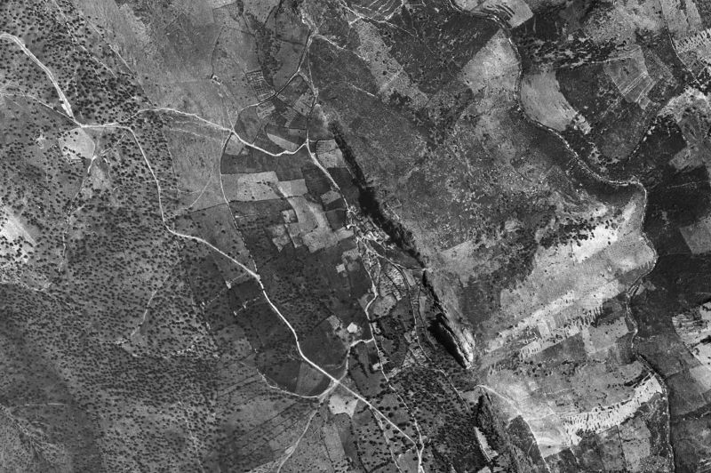 Ortofoto de 1956-1957 del núcleo de Cabañas del Castillo