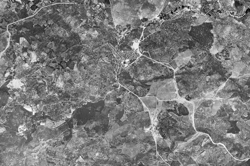 Ortofoto de 1956-1957 del núcleo de Hoyos