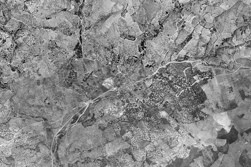 Ortofoto de 1956-1957 del núcleo de Marchagaz
