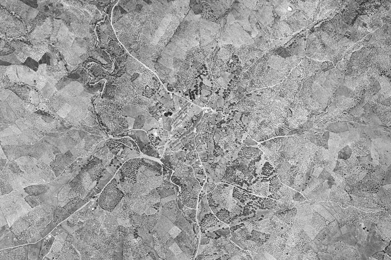 Ortofoto de 1956-1957 del núcleo de Palomero