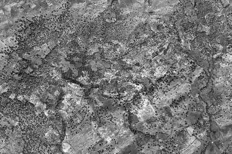 Ortofoto de 1956-1957 del núcleo de Rebollar