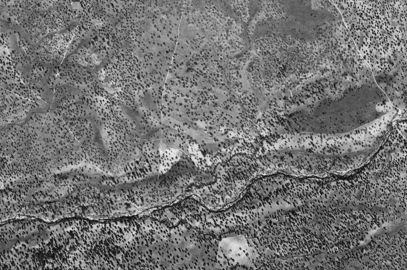 Ortofoto de 1956-1957 del núcleo de Rosalejo